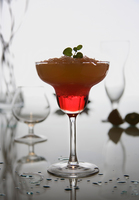 Marguerita glass 33 cl