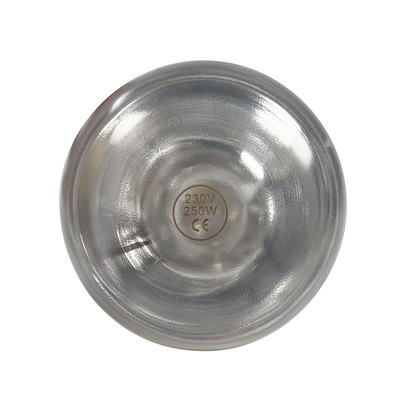 Bulb