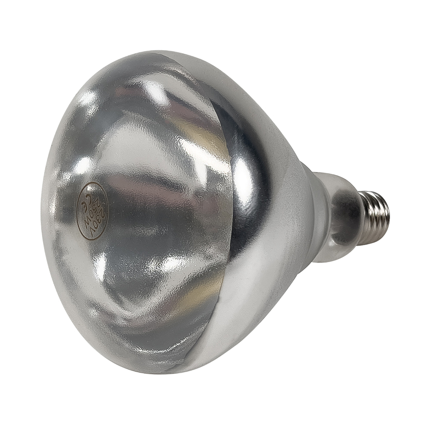 Bulb