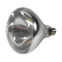 Bulb