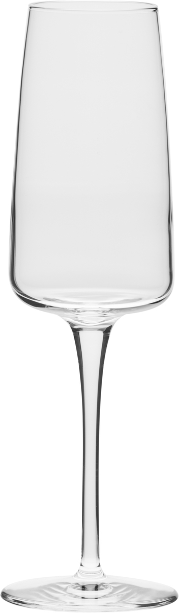 Champagne glass 24 cl Nexo