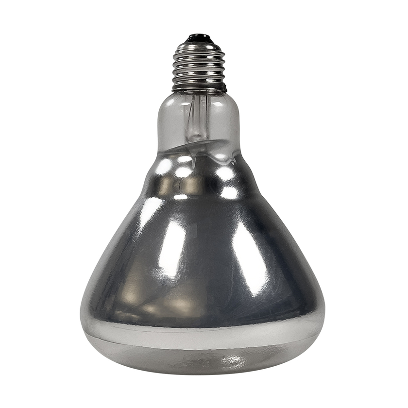 Bulb