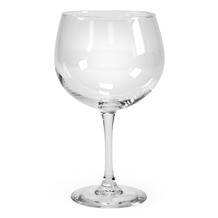 Gin & Tonic lasi 70 cl