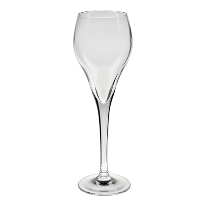 Kieliszek do szampana 16 cl Brio