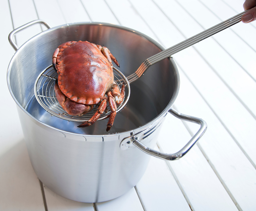 Skimmer Ø 18 cm