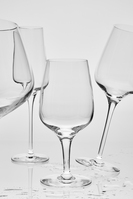 Kieliszek do szampana 21 cl Sublym