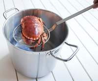 Skimmer Ø 18 cm